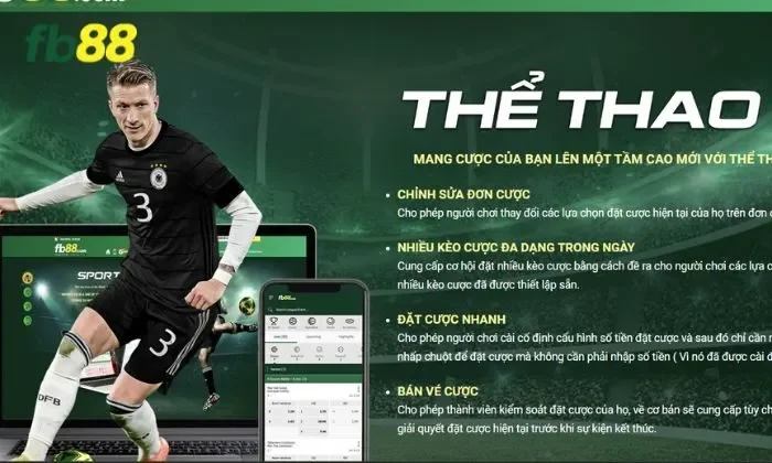 Cá cược kịch tính cùng các giải đấu bóng rổ lớn