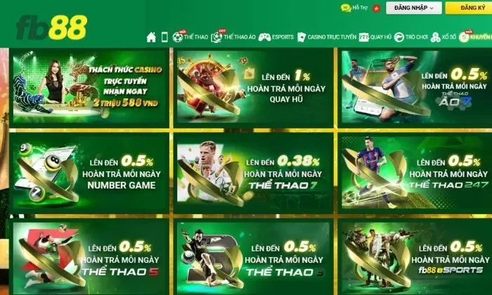 Tuân thủ nghiêm chỉnh các điều kiện của nhà cái